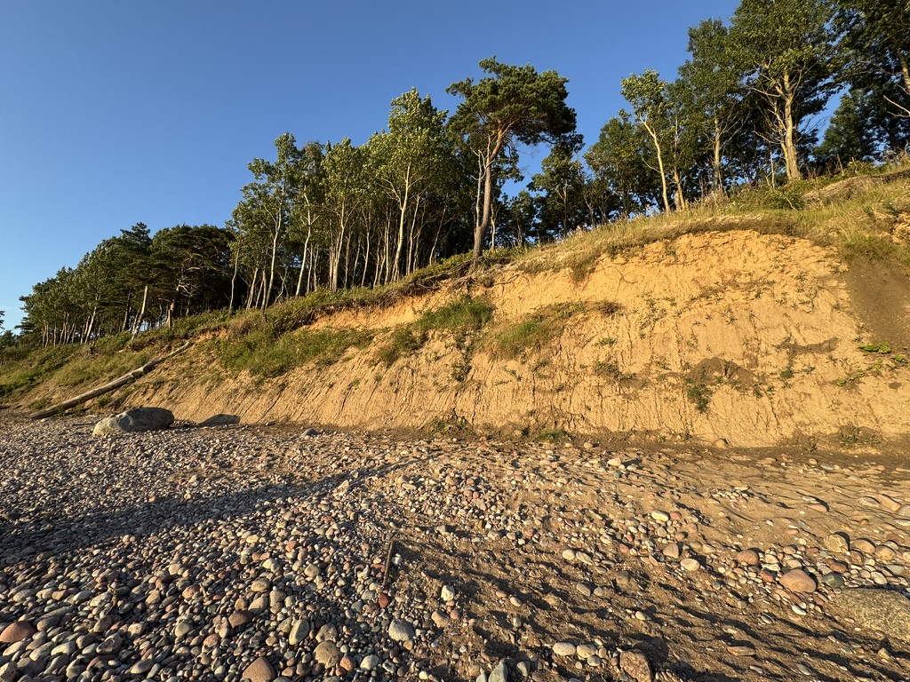Stacks Image 755