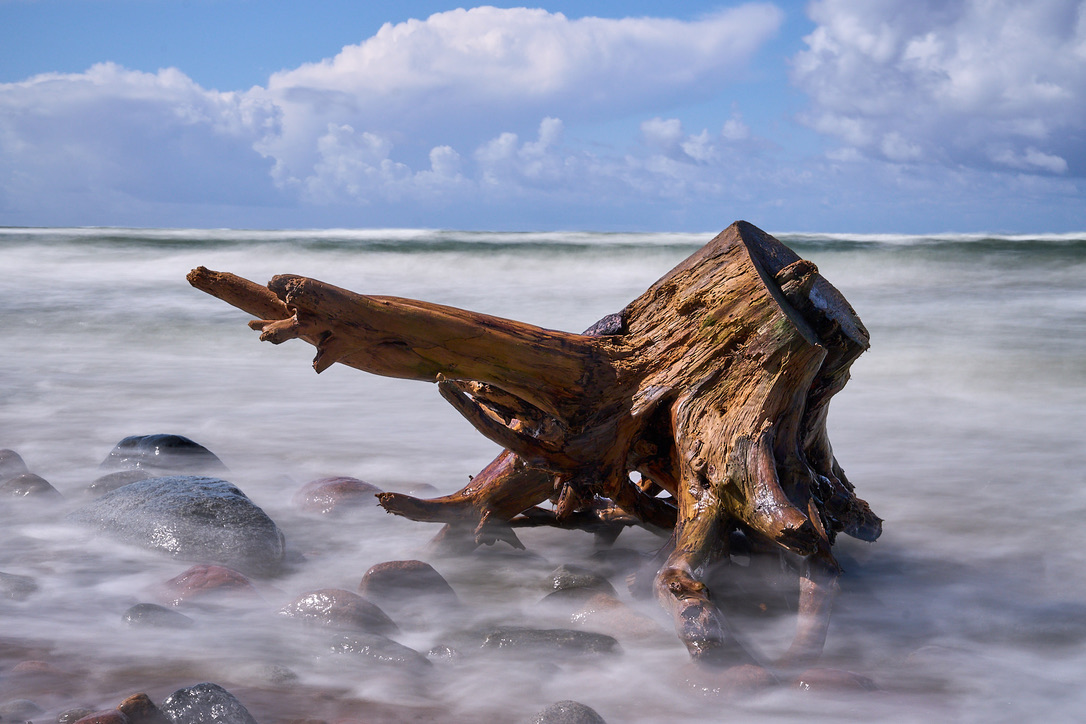 Stacks Image 779