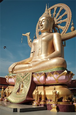 2026-03-04_Thailand_266.jpg